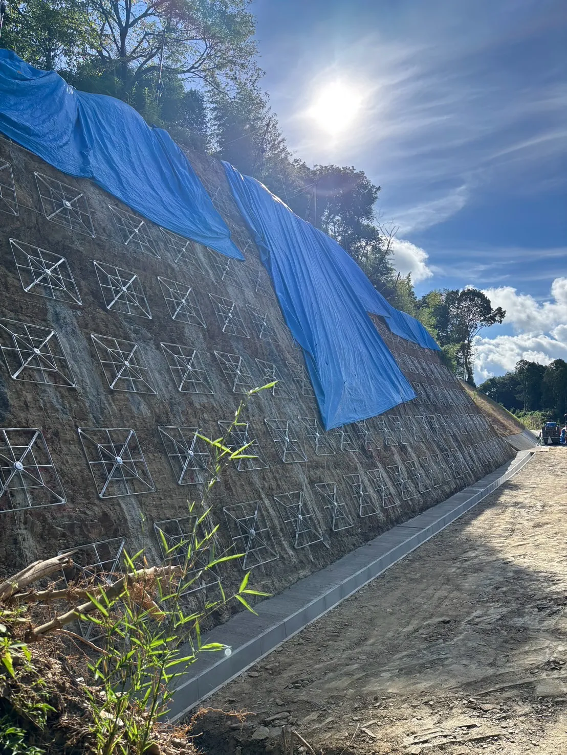 お疲れ様です🍵